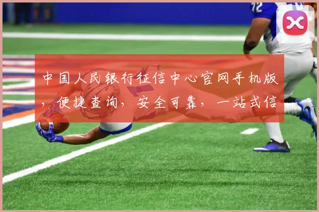 中国人民银行征信中心官网手机版，便捷查询，安全可靠，一站式信用服务，三步轻松获取