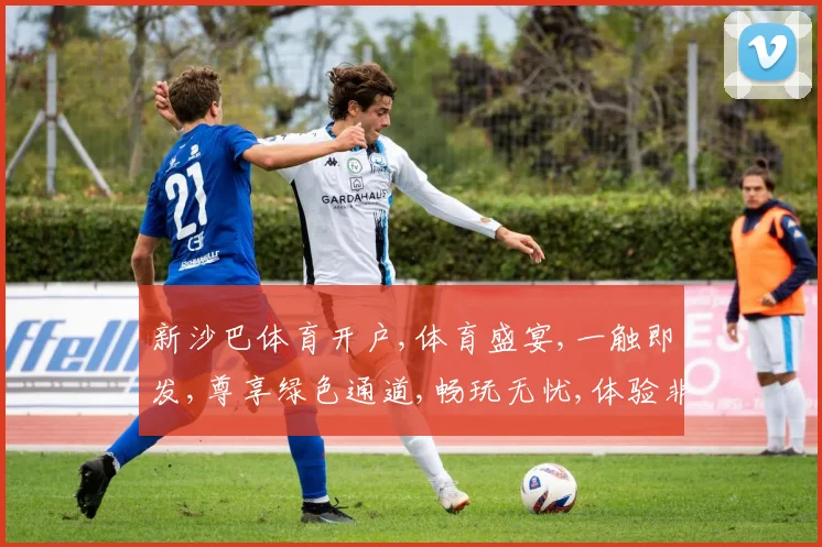 新沙巴体育开户,体育盛宴,一触即发,尊享绿色通道,畅玩无忧,体验非凡