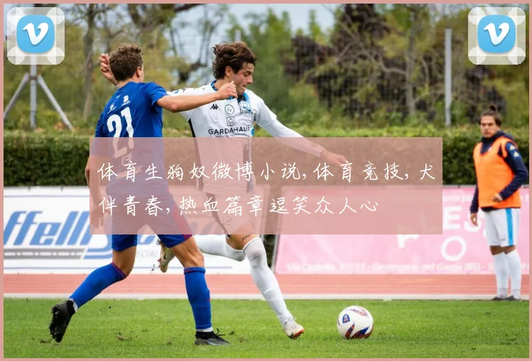 体育生狗奴微博小说,体育竞技,犬伴青春,热血篇章逗笑众人心