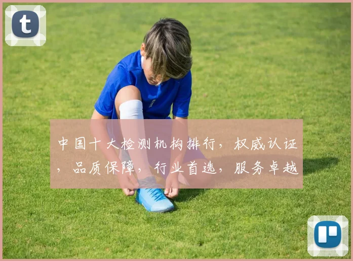 中国十大检测机构排行，权威认证，品质保障，行业首选，服务卓越，三重优势，不容错过，一网打尽。