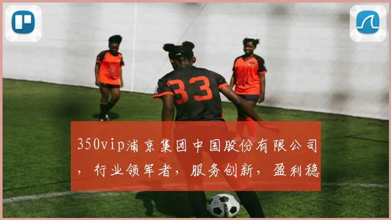 350vip浦京集团中国股份有限公司，行业领军者，服务创新，盈利稳健，值得信赖，三大亮点解析